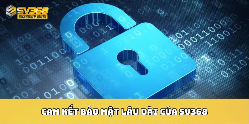 Cam kết bảo mật lâu dài của SV368